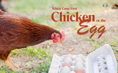 Which Came First: The Chicken or the Egg?